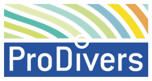 Projektlogo ProDivers